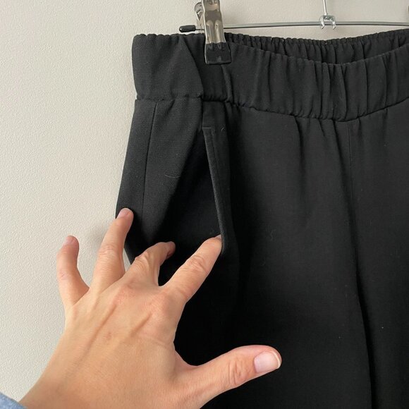 Aritzia Babaton Finch Jogger Pants Ankle Zip Casual Black Medium - Picture 4 of 7